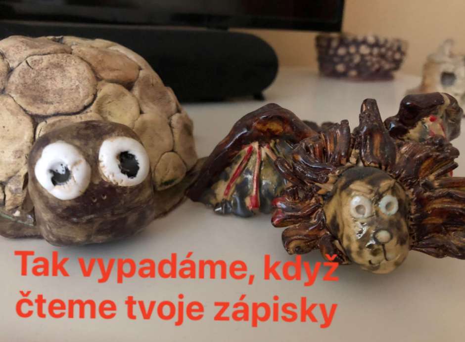 Konečně úspěch - nová myš do notebooku