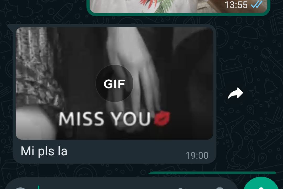 Babička poslala GIF přes WhatsApp